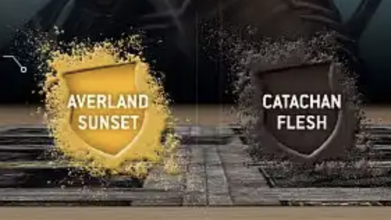 Numéro 22 - Averland Sunset + Catachan Flesh